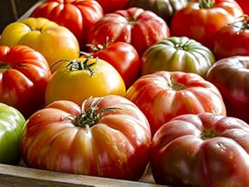 Big Huge Tomato Seeds for Planting, Mixed, 100 pcs